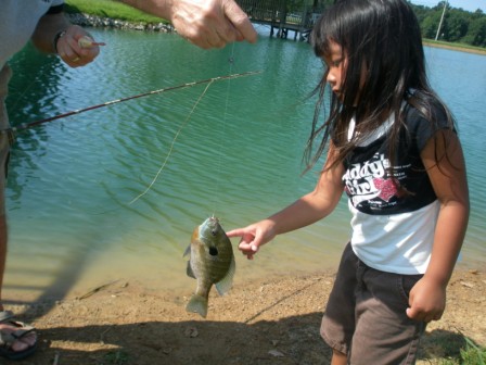 Kasen touching a fish